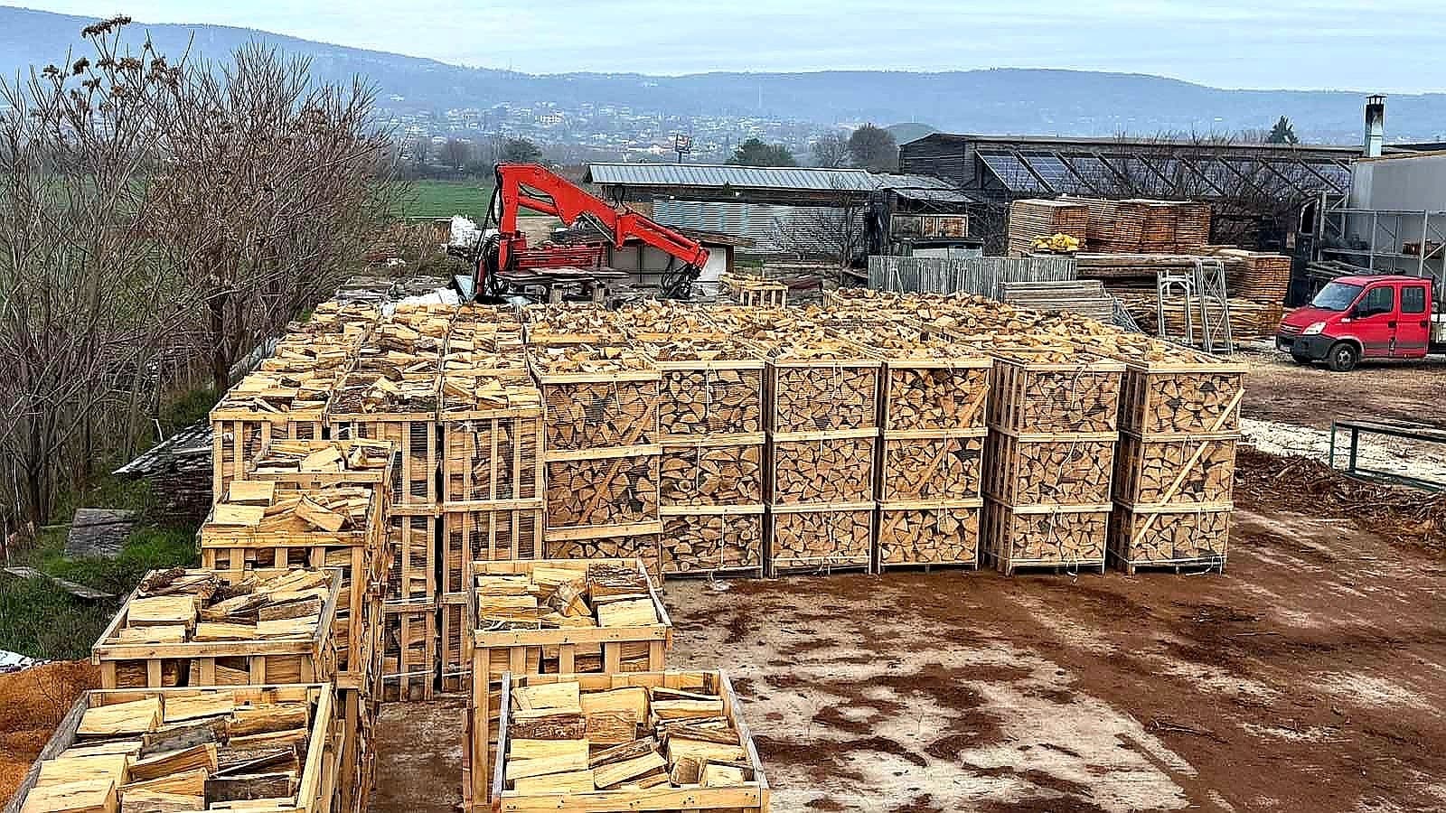 Industrial firewood yard with excavator handling large logs
