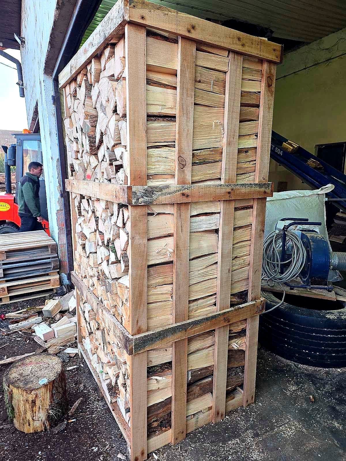 Firewood workshop processing with worker preparing logs