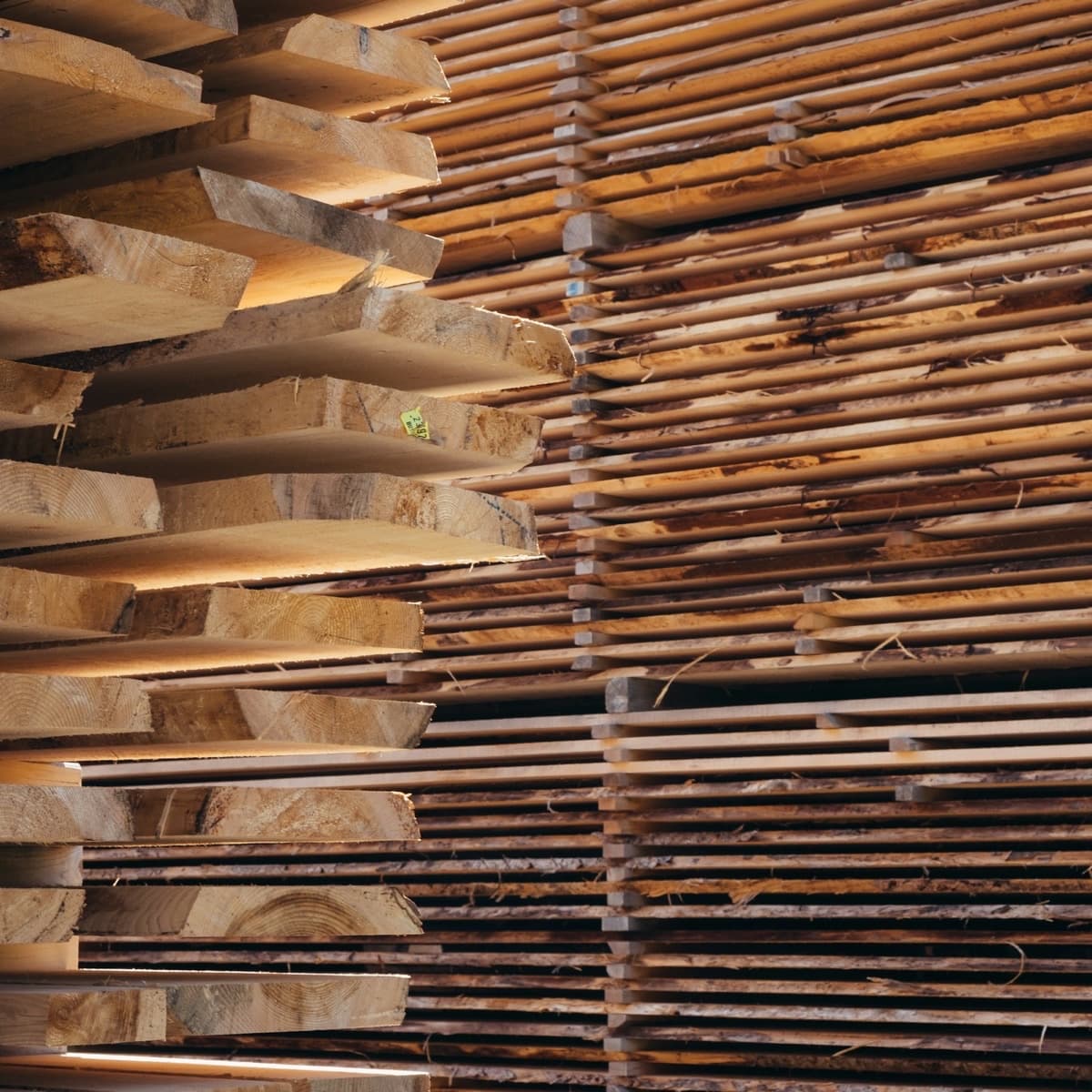 Sawn timber boards sticker-stacked for seasoning in a professional timber yard